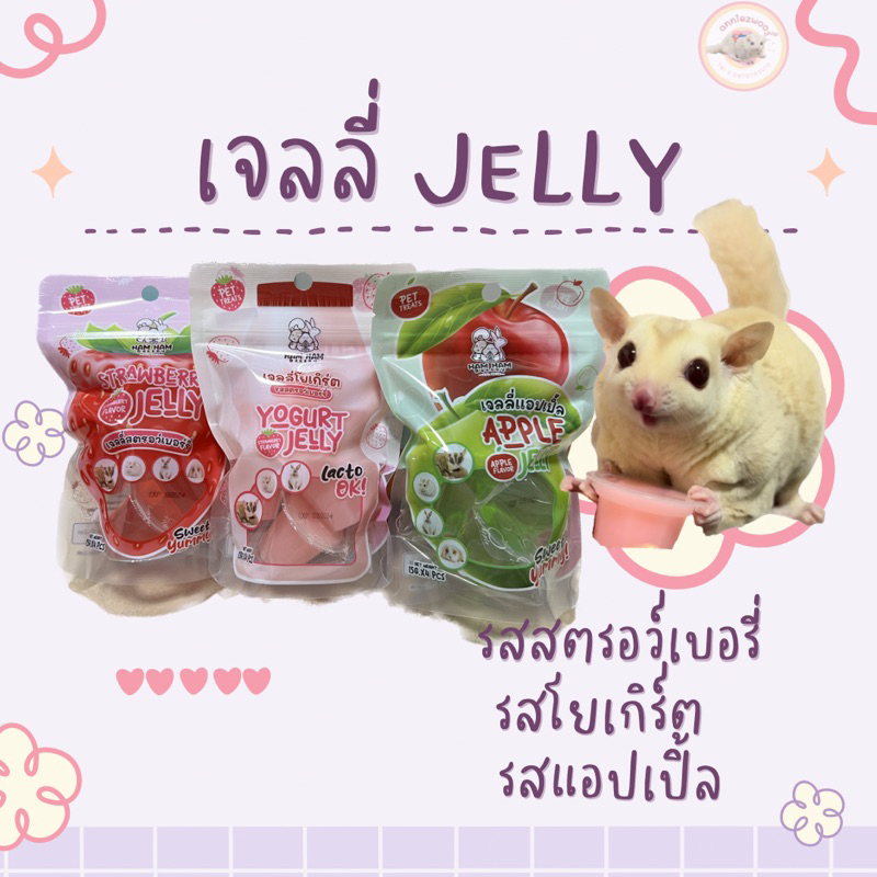 เจลลี่ (hamham bakery) เจลลี่ผลไม้ เจลลี่สำหรับสัตว์เลี้ยง ชูการ์ไกรเดอร์ เม่นแคระ หนูแฮมเตอร์
