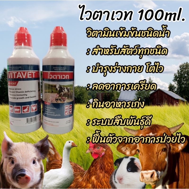 ไวตาเวท 100มล.วิตามินน้ำเข้มขันสำหรับสัตว์ วิตามินรวมชนิดน้ำแบบเข้มข้น สำหรับบำรุงให้สัตว์เลี้ยงเเข็งแรงโตไว ฟื้นตัวเร็ว ราคา ถูกที่สุด ดีลบีเคเค