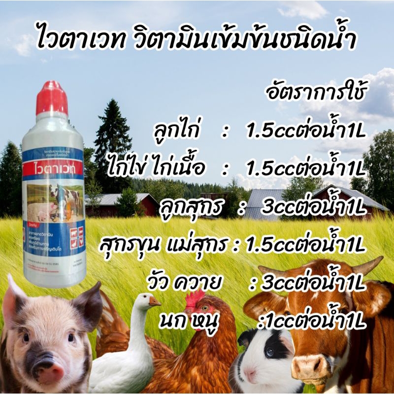 ไวตาเวท 100มล.วิตามินน้ำเข้มขันสำหรับสัตว์ วิตามินรวมชนิดน้ำแบบเข้มข้น สำหรับบำรุงให้สัตว์เลี้ยงเเข็งแรงโตไว ฟื้นตัวเร็ว ราคา ถูกที่สุด ดีลบีเคเค แกลเลอรีภาพที่ 2