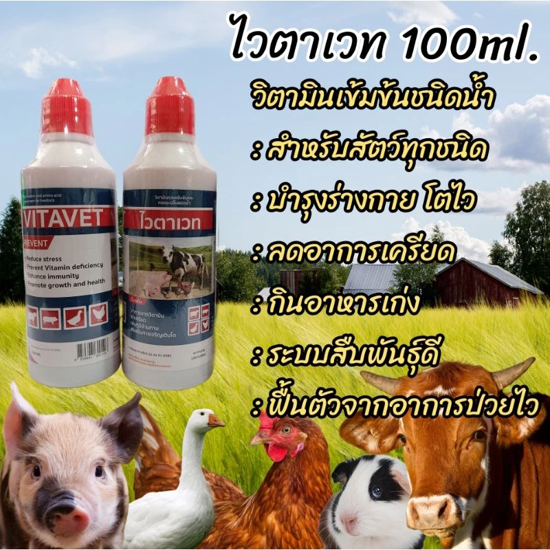 ไวตาเวท 100มล.วิตามินน้ำเข้มขันสำหรับสัตว์ วิตามินรวมชนิดน้ำแบบเข้มข้น สำหรับบำรุงให้สัตว์เลี้ยงเเข็งแรงโตไว ฟื้นตัวเร็ว