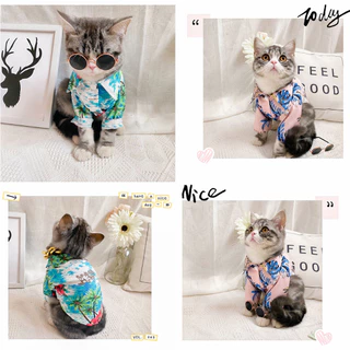 yoyopet : พร้อมส่ง เสื้อสุนัข สไตล์ฮาวาย ชุดแมว หมาพันธุ์ใหญ่ สัตว์เลี้ยงแฟนซี