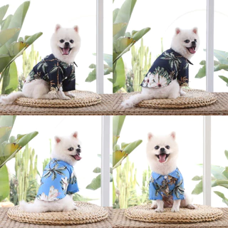 yoyopet : พร้อมส่ง เสื้อสุนัข สไตล์ฮาวาย ชุดแมว หมาพันธุ์ใหญ่ สัตว์เลี้ยงแฟนซี