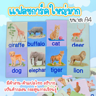 Big Card สัตว์น่ารัก   (Animals)