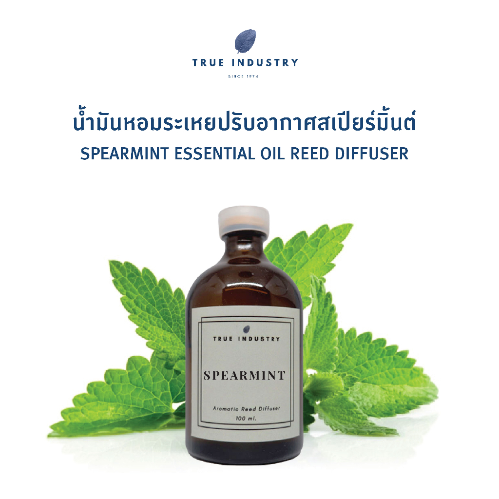 ก้านไม้หอมปรับอากาศสเปียร์มิ้นต์ 100 ml. (Spearmint Essential Oil Reed Diffuser) แถมฟรี ไม้หวาย 8 ก้าน