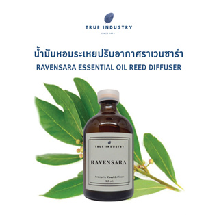 ก้านไม้หอมปรับอากาศราเวนซาร่า 100 ml. (Ravensara Essential Oil Reed Diffuser) แถมฟรี ไม้หวาย 8 ก้าน