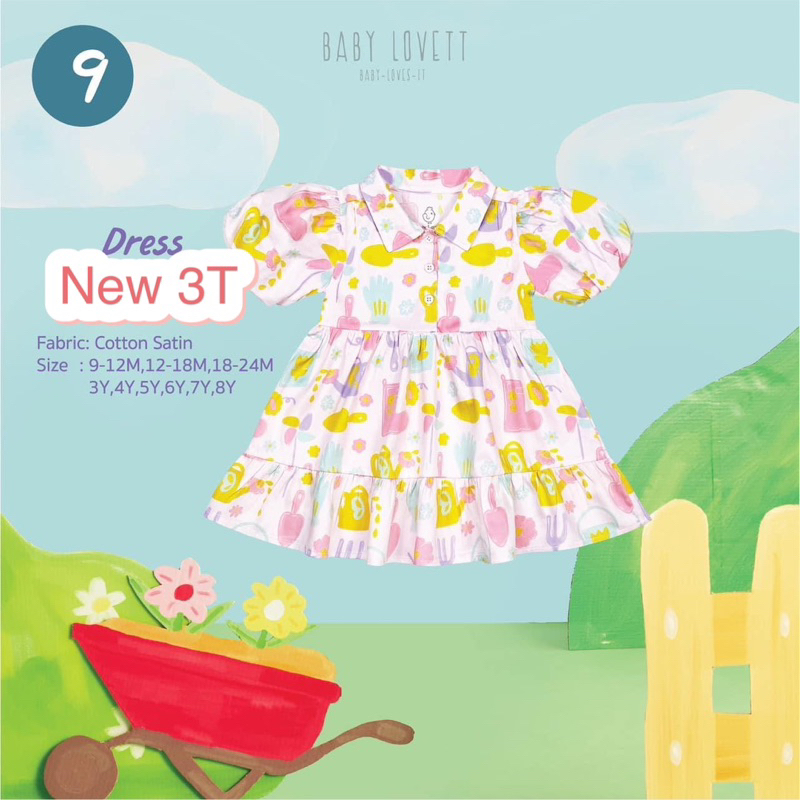 Baby lovett Dress New 3T