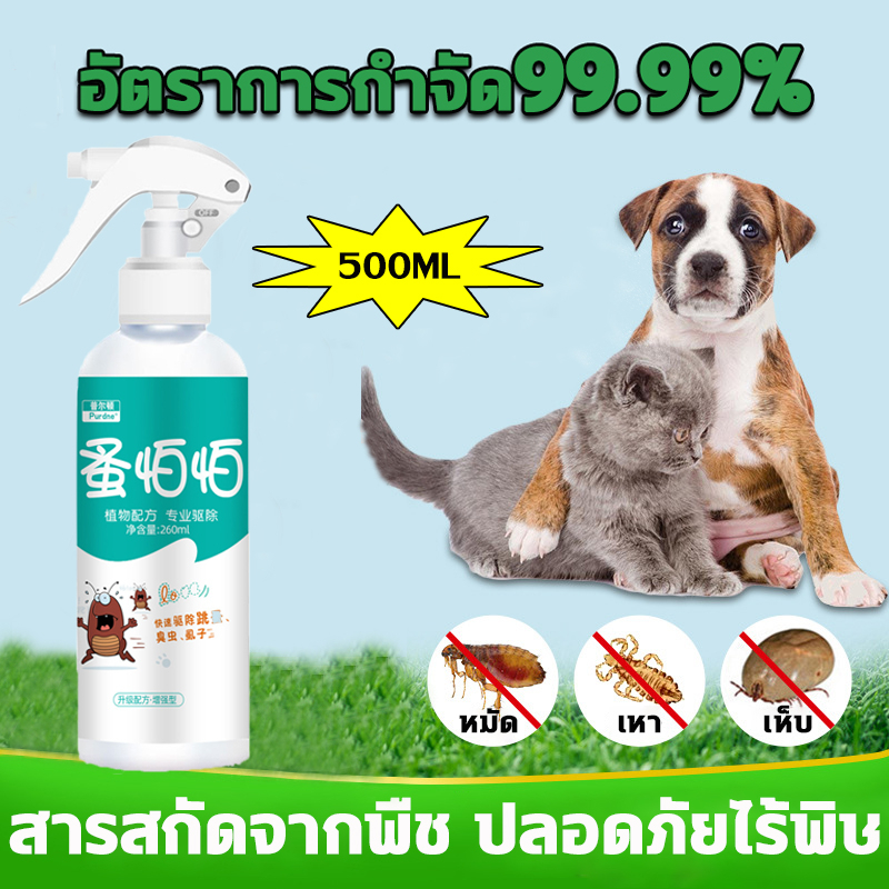 ยาฉีดเห็บหมัด สมุนไพรกำจัดเห็บหมัด ชนิดพ่นพื้น กำจัดเห็บหมา เห็บแมว กำจัดหมัด กำจัดเห็บหมัด ไม่เป็นอ