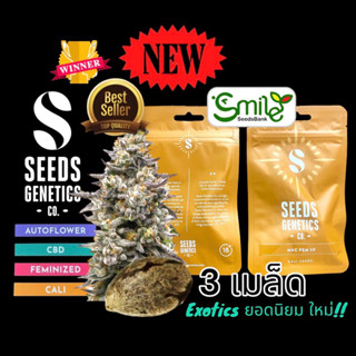 เมล็ดกัญชา Seeds Genetics.Co - MAC (Fem) Winner Cup New*