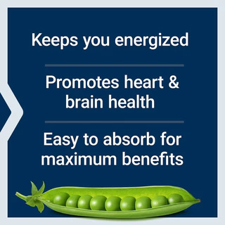 [แท้100%] Life Extension USA วิตามินบีรวม BioActive B-Complex | บำรุงพลังงาน-ระบบประสาท สำหรับคนพักผ่อนน้อย | 60 แคปซูล