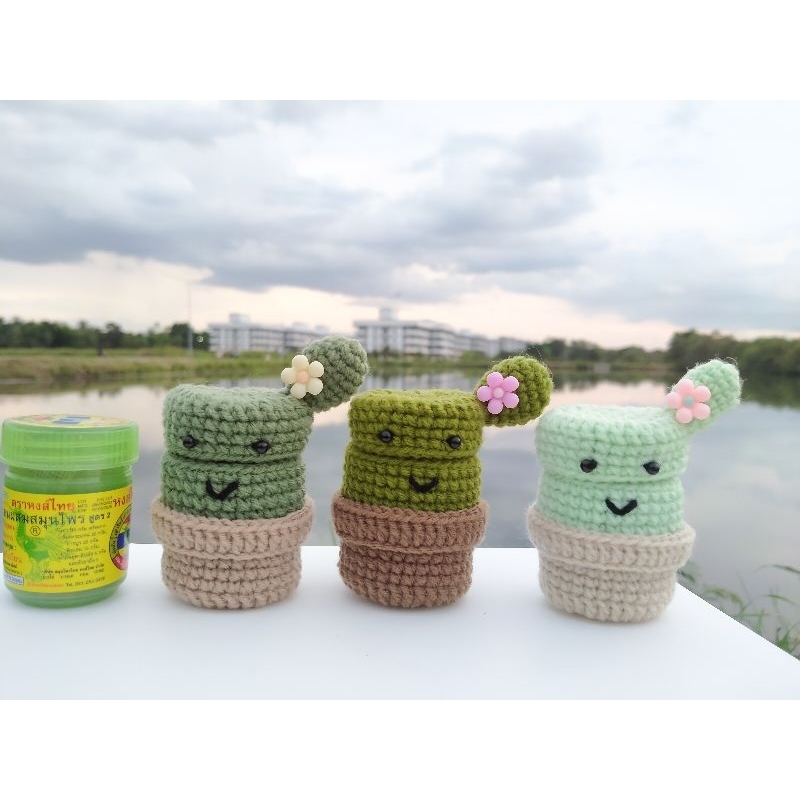 เคสยาดมสมุนไพรหงส์ไทย ลายต้นกระบองเพชร