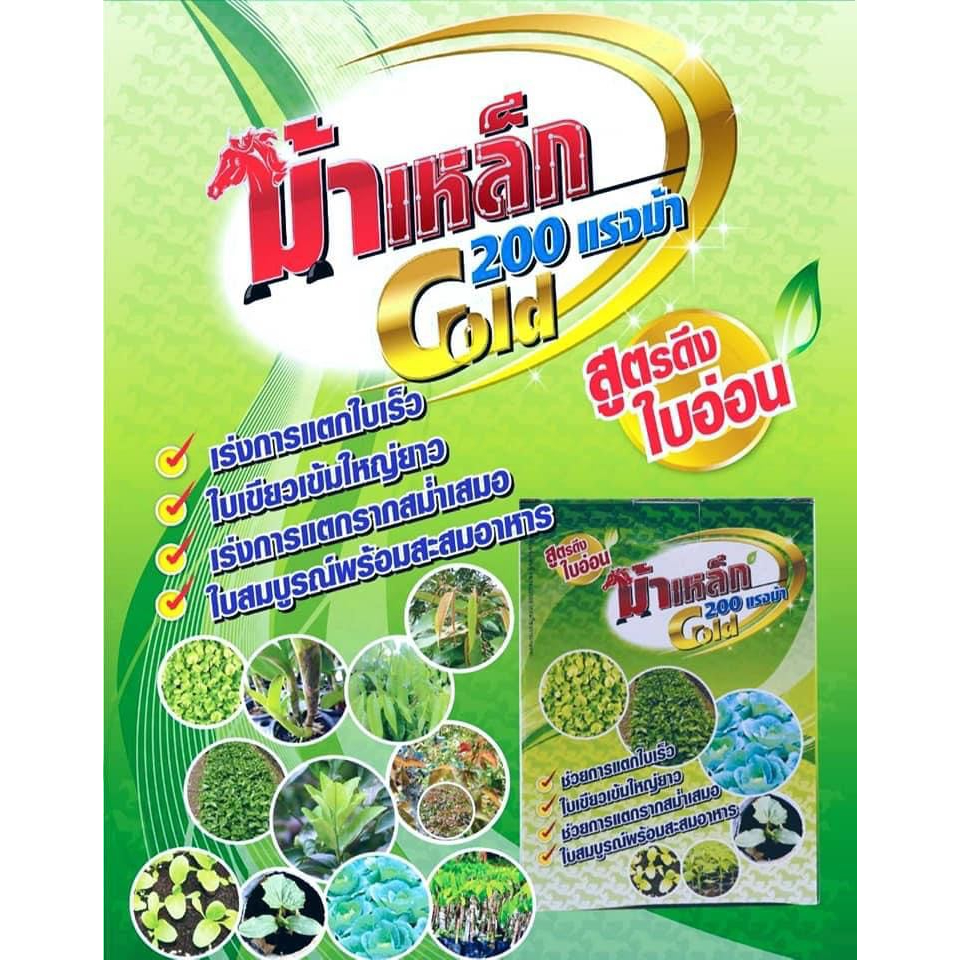 ม้าเหล็ก ดึงใบอ่อน (สาหร่าย+อะมิโน+แม็กนีเซียม)แบบน้ำ 1 ลิตร