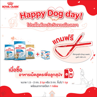 Royal Canin Leash เชือกจูงสุนัข