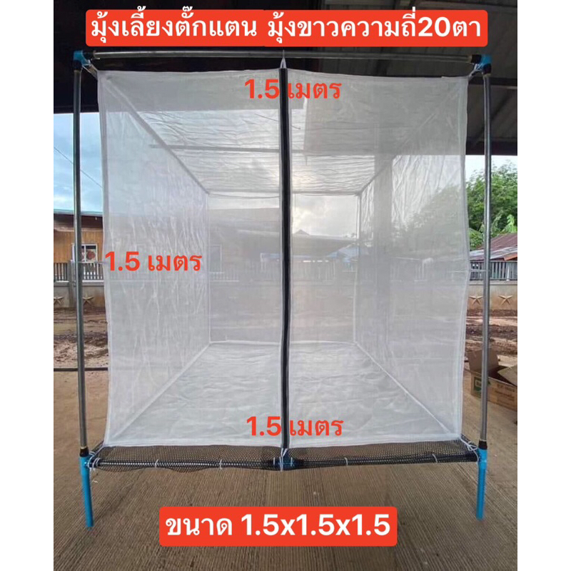 (แถมฟรีถุงใส่ตั๊กแตน)มุ้งเลี้ยงตั๊กแตนสำเร็จรูป กระชังเลี้ยงตั๊กแตน(ความถี่20,22ตา)สีขาว มี2ขนาดให้เลือกตามการใช้งาน