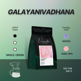 Varinda Coffee Roaster เมล็ดกาแฟคั่วอ่อน Specialty Single Origin Galayanivadhana 200g เหมาะสำหรับ Drip และ Pour-over