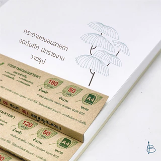 กระดาษถนอมสายตา A4 90แกรม/120แกรม/180แกรม (ไม่มีเส้น)