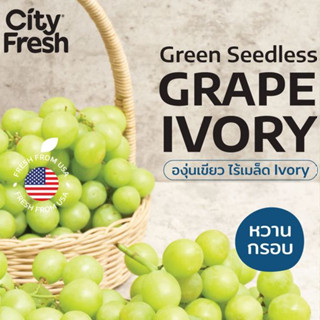 CityFresh องุ่นเขียวไร้เมล็ด  Grape Ivory  จากอเมริกา  ผลไม้นำเข้า