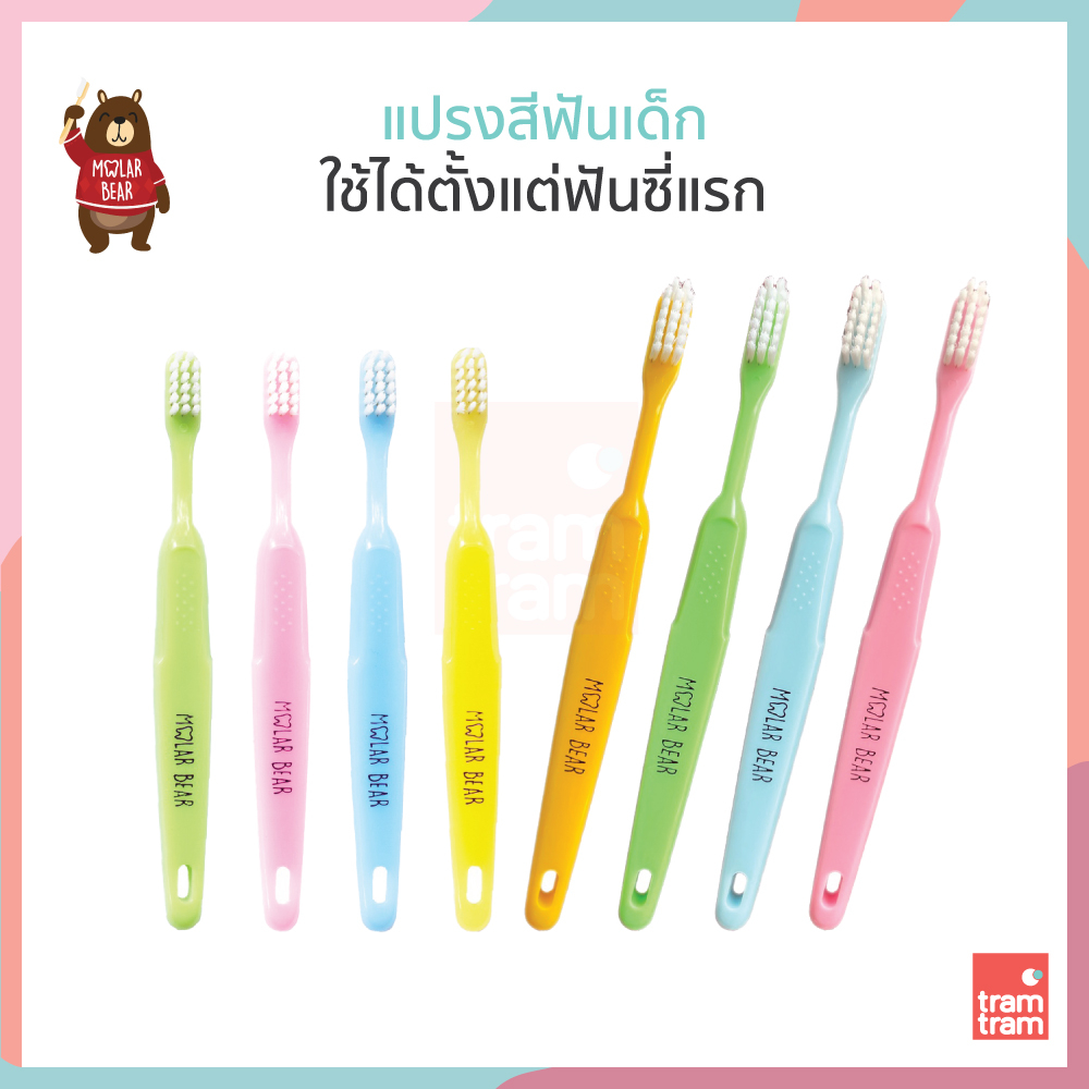 แปรงสีฟันเด็ก Molar Bear โมล่าร์ แบร์ (อายุ 0-3/3-6/6-12 ปี+) แปรงสีฟัน ขนแปรงนุ่ม หัวแปรงขนาดเล็ก