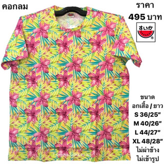 เสื้อยืดแตงโมคอกลมโปเชี่ยล