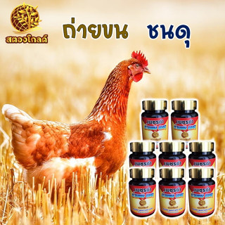 ถ่ายขน ชนดุ ไก่ชน ขนสวย ไก่ตี บำรุงไก่ชน