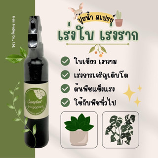 ☘️พิเศษซื้อ2ขวด+เเถมฟรี1ขวด‼️ปุ๋ยนำ้แบบสเปร์ยเร่งใบ-เร่งรากใบสวยเงางามขนาด300ml.