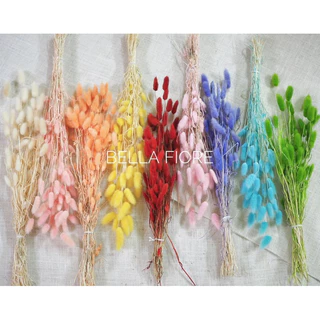 พร้อมส่ง!! ถูกมาก!!! หญ้าหางกระต่ายสีธรรมชาติ มีให้เลือก 2 ขนาด ดอกไม้แห้งเก็บได้นานมากกว่า 2 ปี