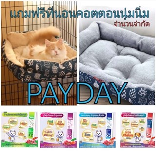 s mellow daily ขนมแมวเลียยกกล่อง 9.9 แถมฟรี ที่นอนคอตตอนนุ่มนิ่มลายแมวญี่ปุ่น