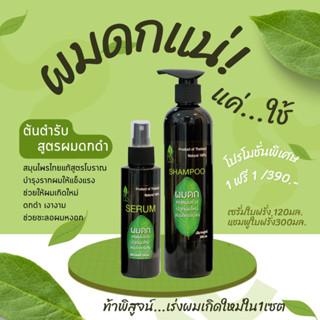 ชุดขายดี แชมพูใบฝรั่ง ขนาด 300 ml เซรั่มใบฝรั่ง 120 ml ปลูกผมดก หยุดผมร่วง เร่งผมเกิดใหม่หัวล้านผมบาง ดกดำ สมุนไพรผมดก