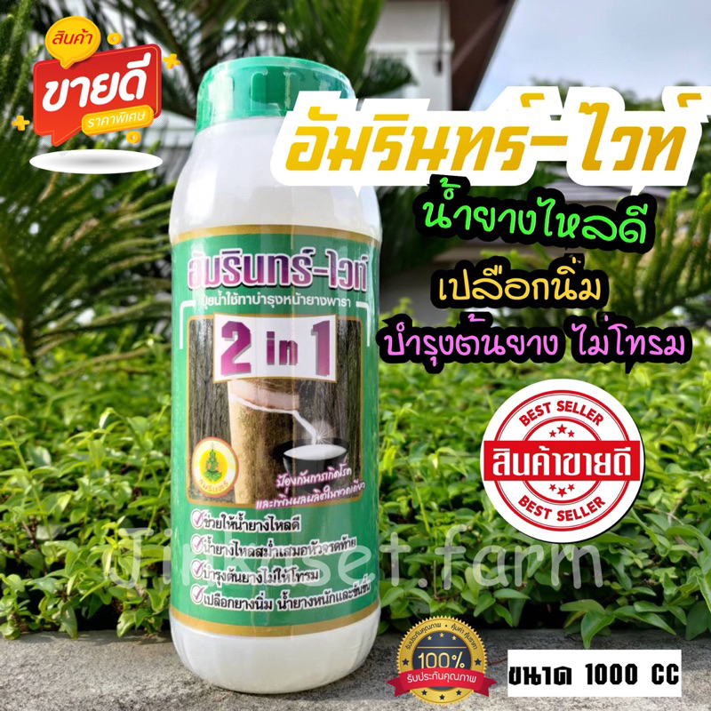 สารบำรุงหน้ายางนิ่ม น้ำยางไหลดี อัมรินทร์-ไวท์ 1000 CC แถมแปรง