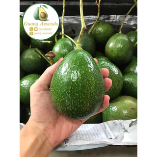 อะโวคาโดบัคคาเนี่ย 🥑 เนื้อเหลืองสวย อร่อย