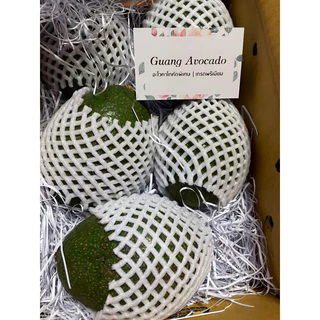 อะโวคาโดบัคคาเนี่ย 🥑 เนื้อเหลืองสวย อร่อย