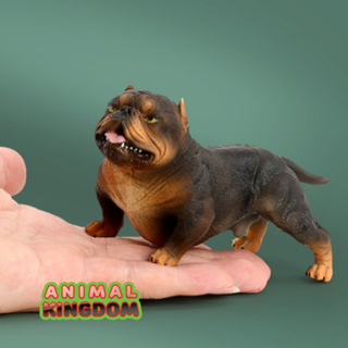 Animal Kingdom - โมเดลสัตว์ สุนัข หมาพิทบูล ดำสัม ขนาด 13.60 CM (จากสงขลา)