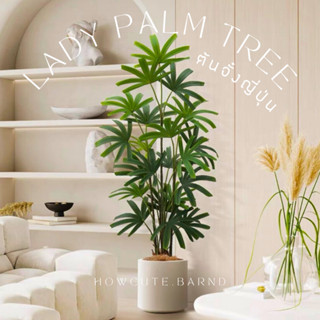 [PRE15วันค่ะ]🌿LADY PALM (ต้นจั๋งญี่ปุ่น) ต้นประดิษฐ์งานเหมือนจริง ปาล์มใบเหลี่ยมน่ารัก มินิมอลสุดๆแต่งบ้านสวยมาก