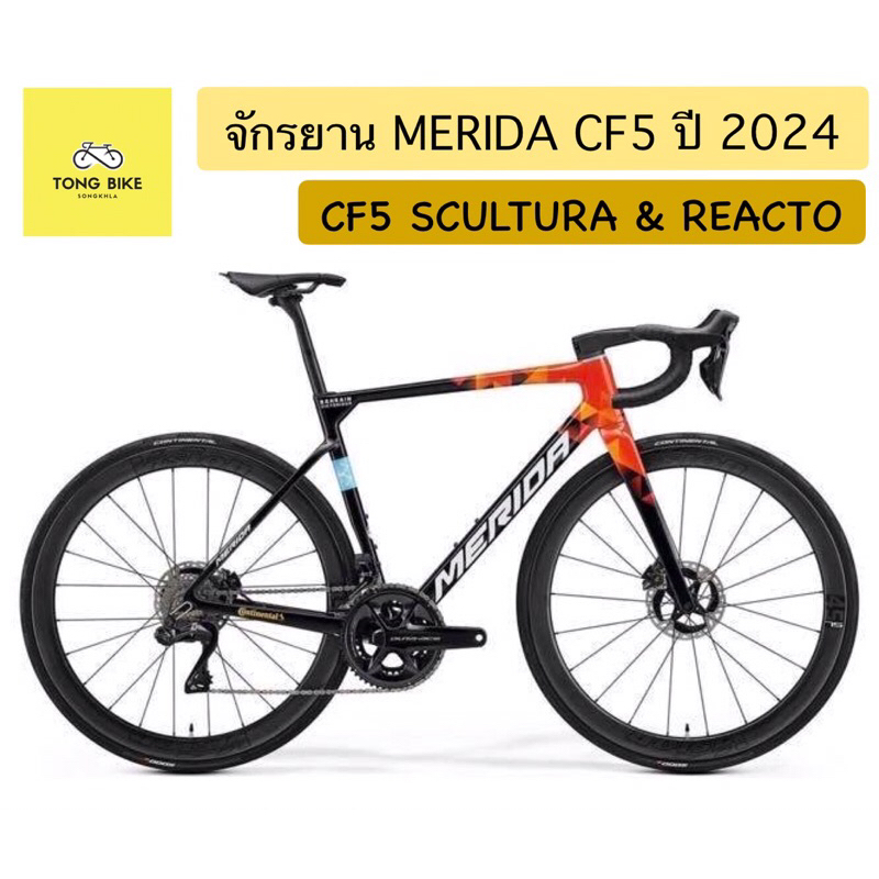 🔥ตัวท็อป!! MERIDA Carbon CF5 SCULTURA || REACTO  Team 2024 จักรยานและเฟรม