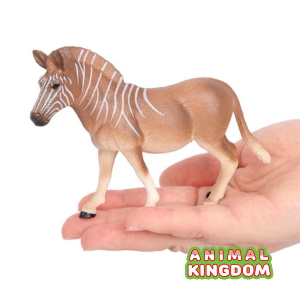 Animal Kingdom โมเดลสัตว์ Quagga ม้าลาย ควางก้า ขนาด 12.50 CM (จากหาดใหญ่)