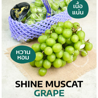 CityFresh องุ่นเขียว Grape Shine Muscat ผลไม้นำเข้า