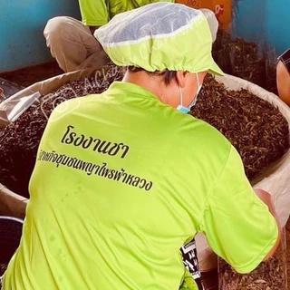 ชาเขียวอู่หลง 500 กรัม ชาอูหลงพญาไพร ชาผลิตจากโรงงานวิสาหกิจชุมชนชาพญาไพรแม่ฟ้าหลวง ห่อใหญ่คุ้มมราคา