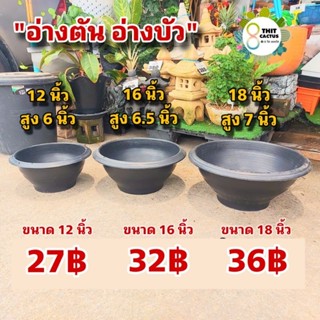 อ่างบัว อ่างตัน // กระถางปลูกบัว กระถางบัว กระถางพลาสติก กระถางเกษตร