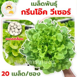 *ส่งด่วน* เมล็ดพันธุ์ กรีนโอ๊ค วีเซอร์ Green Oak Vizir แบบเคลือบ Lettuce Seed ปลูกผัก เมล็ดผัก เมล็ดพืช [1 ซอง 20 เมล็ด]