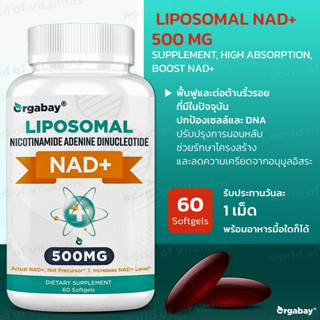 Orgabay Liposomal NAD+ 500 mg Supplement, High Absorption, Boost NAD+ with TMG 250 mg, 60 Softgels(sku.2289)