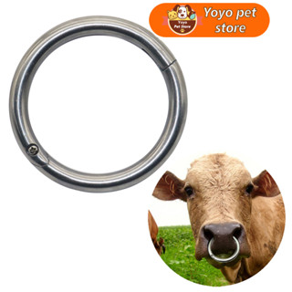 สแตนเลสสตีลวัวจมูกแหวน Bull Ox วัว Bovine Traction Clasp ฟาร์มปศุสัตว์สัตว์จมูกคลิปฟาร์มสัตว์อุปกรณ์