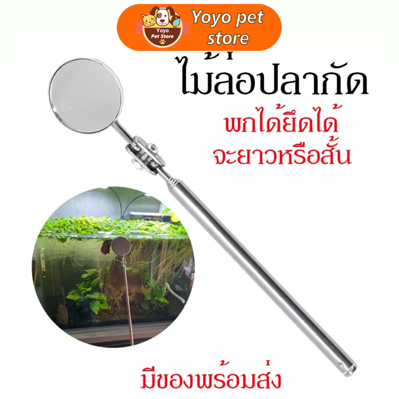 อุปกรณ์ฝึกปลากัด บำรุงรักษารถยนต์กระจกตรวจสอบ พับTelescopic Reflectorขนาดเชื่อมChassisกระจกตรวจสอบ กระจกปลากัดอ