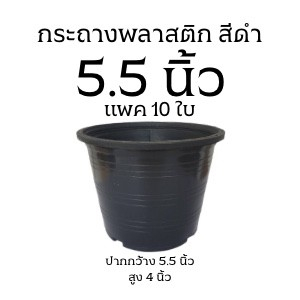 (10ใบ)  กระถางดำ 5.5 นิ้ว พลาสติก