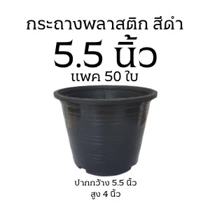 (50ใบ) กระถางดำ 5.5 นิ้ว พลาสติก