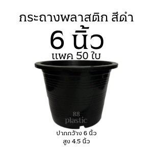 (50ใบ) กระถางดำ 6 นิ้ว พลาสติก