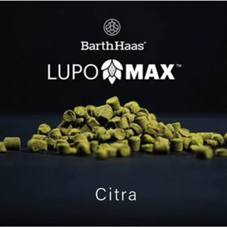 Citra Hops (2oz) - LUPOMAX