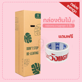 กล่องต้นไม้ เบอร์ 1 หนา 5 ชั้น จัดโปรแถมฟรีเทประวังแตก 1 ม้วน