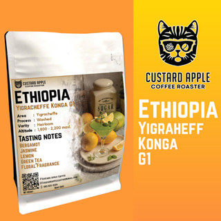 เมล็ดกาแฟคั่ว เอธิโอเปีย Ethiopia Yigracheffe konga G1