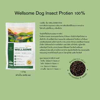 Wellsome Insect อาหารสุนัขโปรตีนจากแมลง โปรตีนคุณภาพสูงสุนัขไม่แพ้ ลดคราบน้ำตา นำเข้าจากเกาหลี