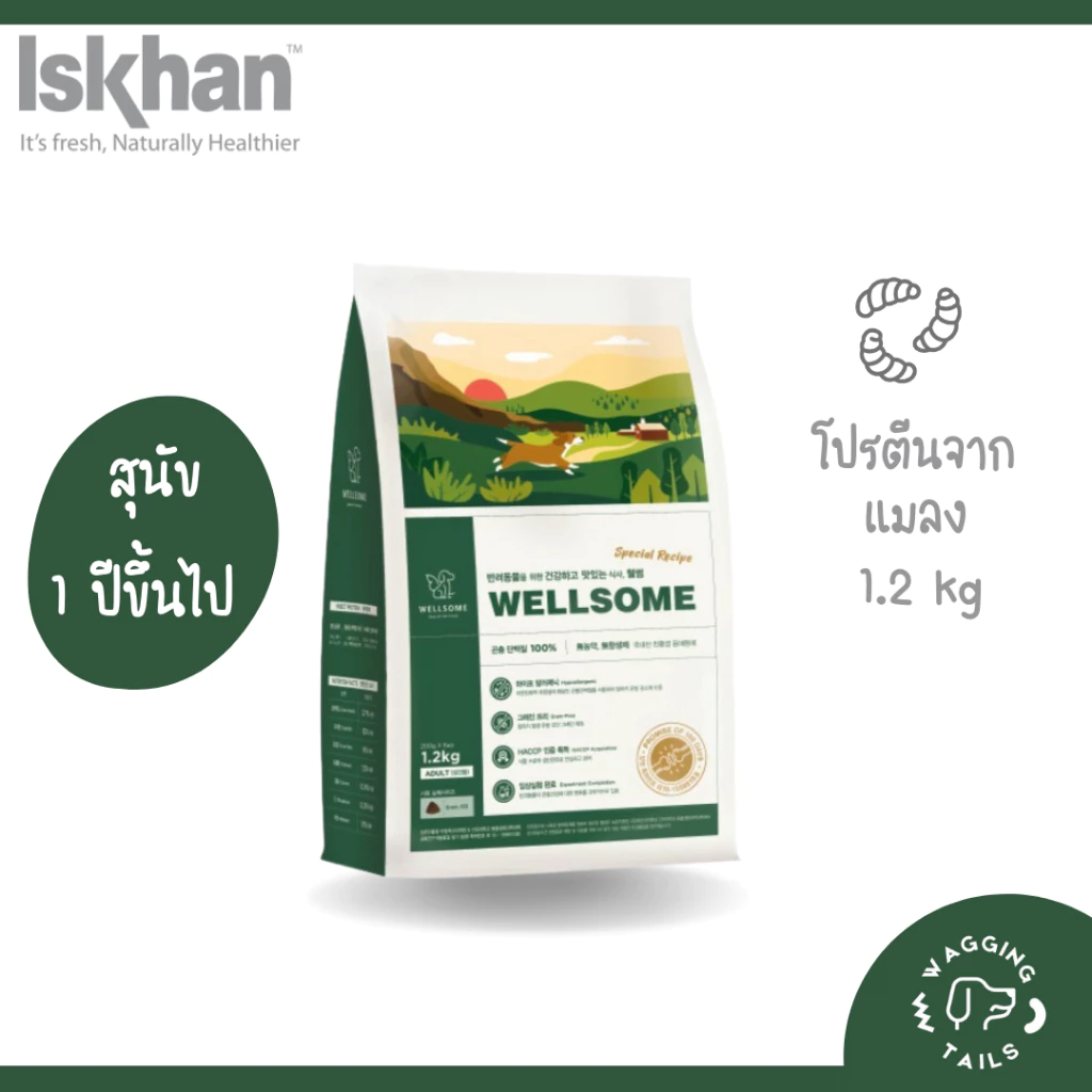 Wellsome Insect อาหารสุนัขโปรตีนจากแมลง โปรตีนคุณภาพสูงสุนัขไม่แพ้ ลดคราบน้ำตา นำเข้าจากเกาหลี
