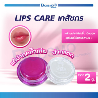 LIP CARE ลิป ลิปส์แคร์ เภสัชกร (ตลับสีชมพู) ลิปเภสัช ลิปบาล์ม บำรุงริมฝีปาก ไม่ให้แตก ลอกเป็นขุย ให้เนียนนุ่น น่าจุ๊บ👄